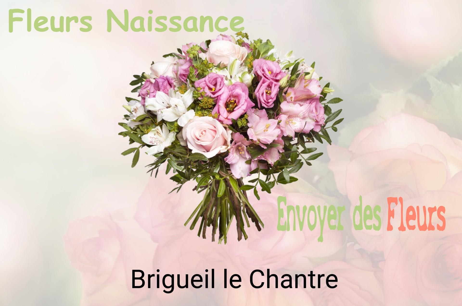 Bouquet de fleurs de naissance livré à Brigueil-le-Chantre