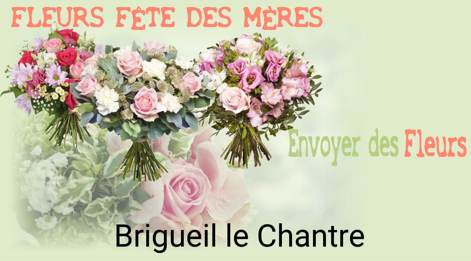 Bouquet de Fête des Mères livré à Brigueil-le-Chantre